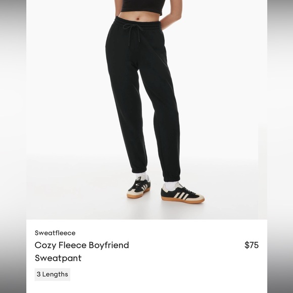 Aritzia Cozy Fleece Boyfriend Sweatpant - Picture 3 of 3